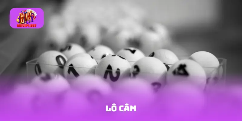 lô câm
