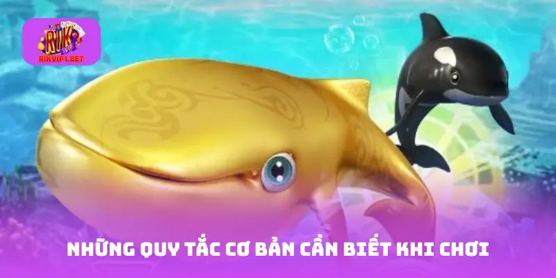 Những quy tắc cơ bản cần biết khi chơi