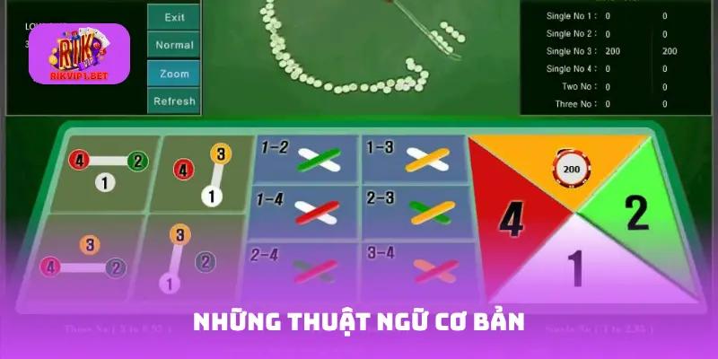 Những thuật ngữ cơ bản