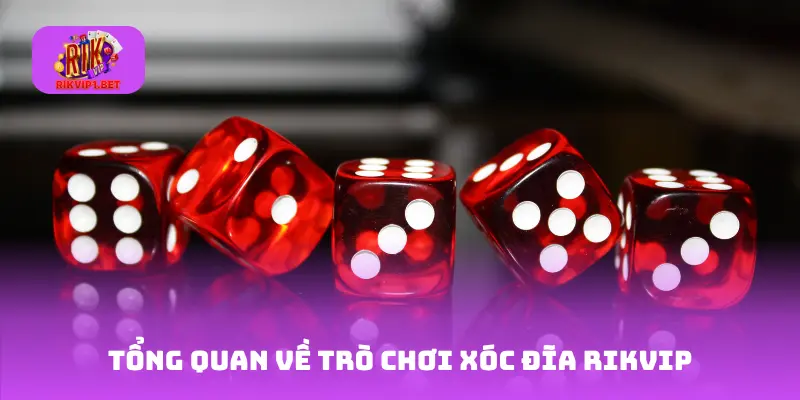 Tổng quan về trò chơi xóc đĩa Rikvip